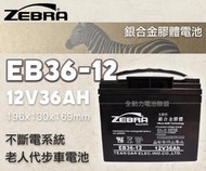 全動力-ZEBRA 斑馬電池 EB36-12 12V36AH 銀合金膠體電池 老人代步車 電動車電池 同U1-36