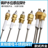 Boiler Water Level Probe Probe Liquid Level Control Sensor Probe Electrode Jiangxin Shengtian Steam 