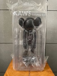 Kaws Small lie Black
