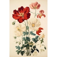 VINTAGE FLOWER Wall Decoration POSTER A3+ AP310 HM ART STORE