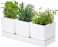 D'vine Dev Herb Garden Planter Set, Plastic Plant Pots with Drainage and Saucer, Indoor Succulent Ca