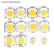 [ExtremeWellknown] 1pc cob led light dc led bulb chip on board 10W 20W 30W 50W 70W 100W 2 colors Xwk
