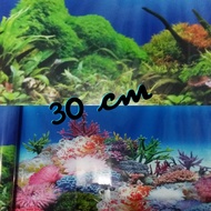 Background / Gambar Latar Aquarium Tinggi 30 cm dan lebar/panjang 80 cm