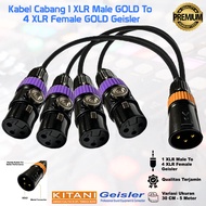 Branch Cable / Audio Cable 1 XLR Male GLD to 4 XLR Female GLD Geisler - Kitani - JUAN