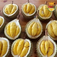 V VA DURIAN MUSANG KING FRESH UTUH MASIH ADA KULITNYA KUALITAS PREMIUM