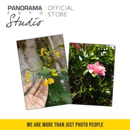 Print matte paper photo standard size photo Album 2r 3r 4r 5r