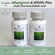 (2 กระปุก) ผักเม็ด Wheatgrass & Alfalfa Plus ผลิตภัณฑ์เสริมอาหารวีทกราส อัลฟาลฟา พลัส ผักอัดเม็ด ของ