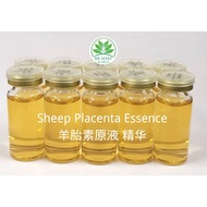 (Ready in melaka) Sheep Placenta Essence 羊胎素原液 精华 婴儿皮肤 细嫩如初 (8318)