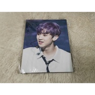 8R Chanyeol Photo Frame