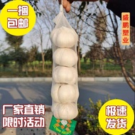 Mesh Bag Garlic Bag Mesh Bag Mesh Bag Mesh Bag Mesh Bag Mesh Bag Mesh Bag Mesh Bag Garlic Bagxueshen