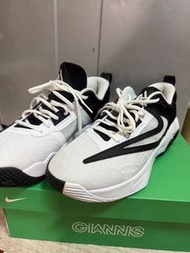 Nike波鞋 籃球鞋