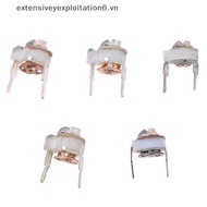 # exten # 5PCS 5MM Ceramic Trimmer Capacit Adjustable Capacitor Trimmer Variable Ceramic Capacitor 3