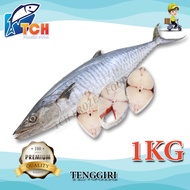 IKAN TENGGIRI TCH FROZEN FOOD FRESH FROZEN SEAFOOD WHOLESALE SUPPLIER FISH IKAN KING TENGGIRI FILLE