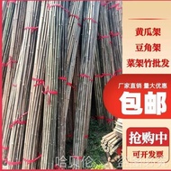 10Rice3Son0Link Rod Rack Vegetable Rack Small Root Beans Bamboo Pole Flagpole Bamboo Cucumber Rack M