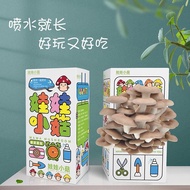 Oyster Mushroom Pink Mushroom Mushroom Kit Food Mushroom Stick Simple Boxed Mushroom Growing Box Bal