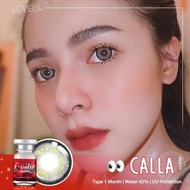 คอนแทคเลนส์ แฟชั่น สายตาปกติ 0.00 forum calla dnaชนิดนิ่ม รายเดือน