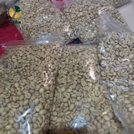 Green bean biji kopi mentah robusta grade 1 kemasan 1 kg