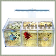 ( S U Z B )Aquarium LED Acrylic  Fish Tank Set Mini Desktop Light Triple