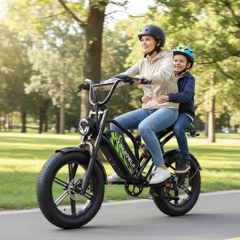 1600W Peak 20" Fat Tire Moutain E-Bike, 48V 20ah Detachable Battery Adult E Motorcycle, 30MPH 80Mile