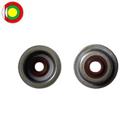 Steam Valve GX160 Valve Seal/200