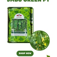 50GM BENIH TIMUN BATANG PANAH MERAH JUMBO GREEN F1 HYBRID CUCUMBER