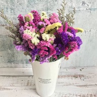 Don't Forget Me Nots dried/loving me not