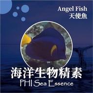 Marine Biotin [Angel Fish Angel Fish] Drive Away Darkness/Joy/Integrated Feel/Intercontinental Earth