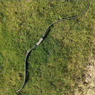 Traditional Bow Archery Laminated 25lbs 30lbs 35lbs 40lbs 45lbs 50lbs & 55lbs