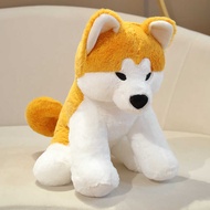 Cute Dog Doll Akita Inu Shiba Inu Doll Plush Toy Children Sleeping Pillow Girl Gift Can