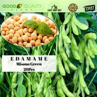 20pcs Japanese Edamame seeds Benih EDAMAME JEPUN