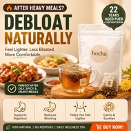 Digestion Tea After Meals | 22 Years Aged Puer + Chrysanthemum | Debloat, Digestion, Gut Health | Ho