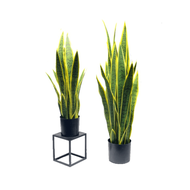 Global House Tree O ต้นไม้เทียมลิ้นมังกร 65ซม. #38 รับประกันของเเท้