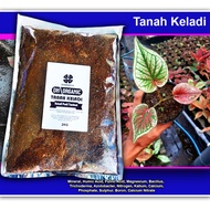 2Kg Tanah Keladi Tanam Keladi Cepat Tumbuh Gemuk Sihat Lengkap Campuran Organik Kualiti Tinggi