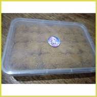 ┏ ≈ ✨ Graham Balls Original Honey Grahams 24 pcs