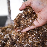 7 in 1 Soil / 300gm Aroid Mix/Aroid Potting Mix/ suitable for every plants