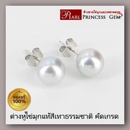 ทองแท้ ไข่มุกสีเทาธรรมชาติคัดเกรด ของแท้ 100% : ต่างหูไข่มุกสีเทาคลาสสิก Grey Pearls  Single Pearl Earrings ต่างหูไข่มุกเม็ดเดี่ยว ก้านทอง-ก้านเงินแท้925