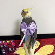 Parrot Costume Parrot Custom Hanfu Diaper Pet Bird Flight Suit Kimono Shit Pocket Flight Suit Bird U