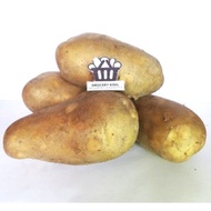 Ubi Kentang Gred A 马铃薯 Potato 炸薯条