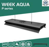 [Hoàn Tiền 10%] Đèn Led Cao Cấp WRGB Week P Series P600 P900 P1200