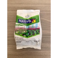 Nativo [RACUN KULAT] 250GM