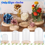 TEASG Glass cloche Home Decor Terrarium Tabletop Glass Vase Jar Transparent Bottle Flower Storage box