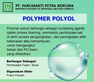 POLYMER POLYOL