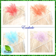 Colorful Pampas Flowers Artificial Leaf Decoration Artificial Leaf Phoenixdaun