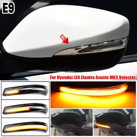2 Pcs LED Dynamic Mirror Indicator Light For Hyundai Elantra GT Avante MK5 MD UD 11-15 Veloster I30 