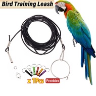 5ft Flexible bird flight leash with training ring bird leash with whistle for parrots