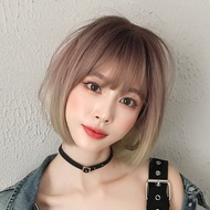 ✨ 2025 Bestseller！Women's Short Straight Bob Wig 🌟 ​40cm Fresh Short Straight​ ✨ ​New-Season Short S