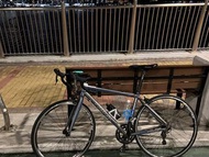 Trinx r800 公路單車 road bike