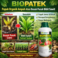BIOPATEK Pupuk Organik Ampuh Atasi Busuk Pucuk Bibit Sawit | Obat Penyakit Jamur Daun Sawit Terbaik 