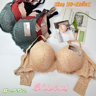 Lace Bra Size 2552 Large (Size 36-42 Cup C) Sisterhood
