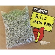 BILIS.MATA.BIRU.RANGUP